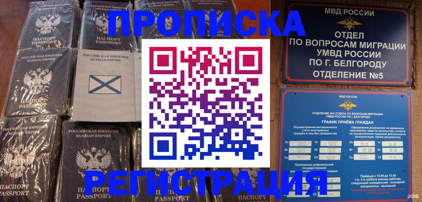 прописка гарантия в Змеиногорске
